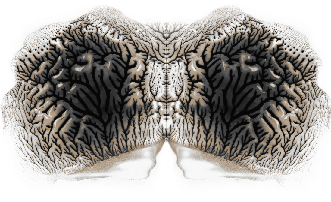 brain-double-small_web